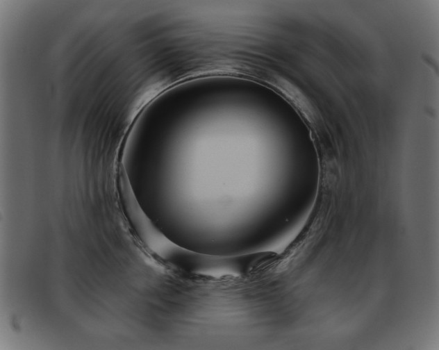 X0000093440858200710121331