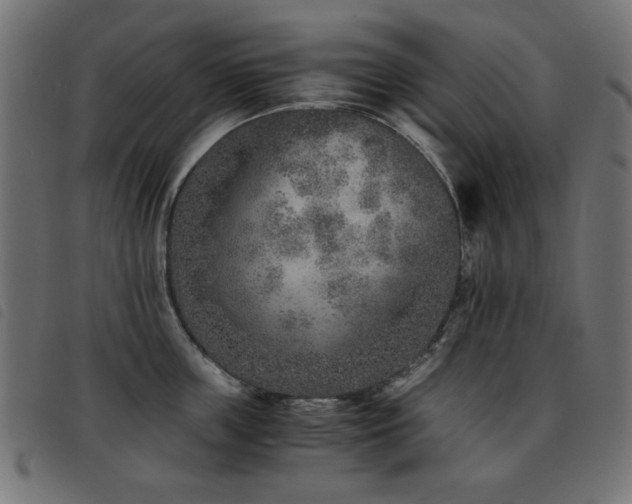 X0000093440859200710121331