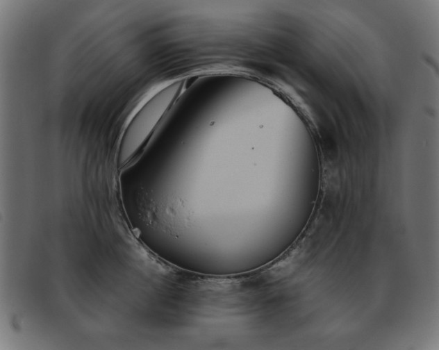 X0000093440860200710121331