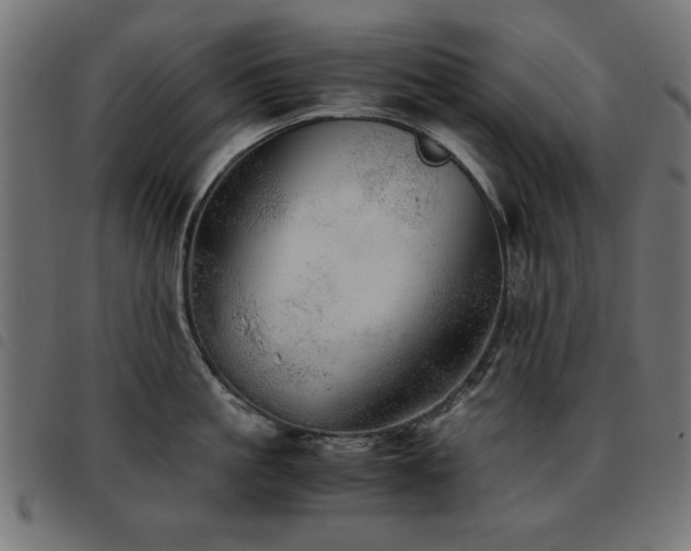 X0000093440861200710121331