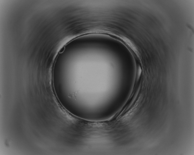 X0000093440862200710121331