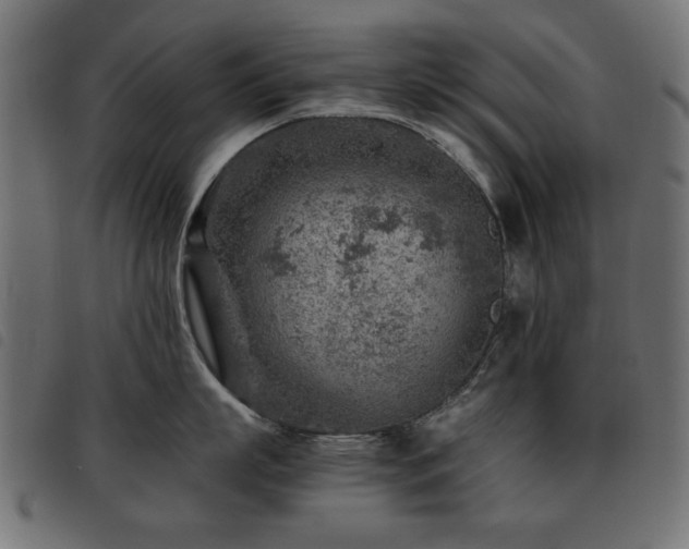 X0000093440863200710121332
