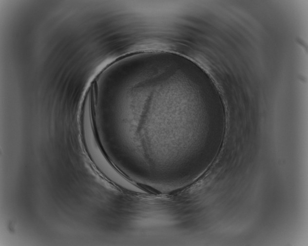 X0000093440864200710121332