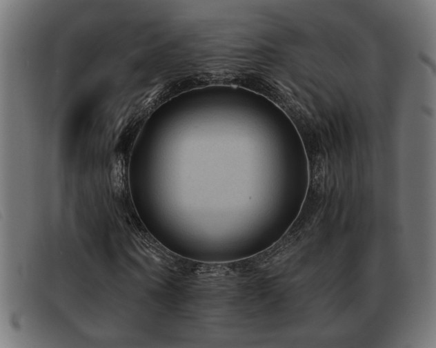 X0000093440866200710121331