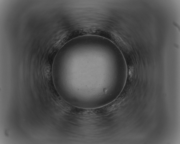 X0000093440867200710121331