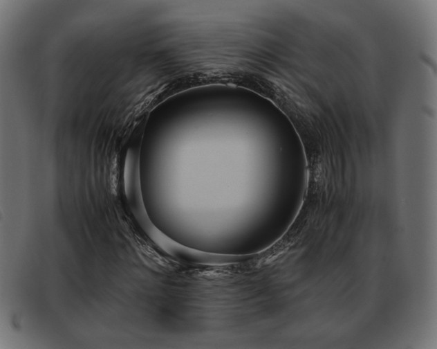 X0000093440868200710121331