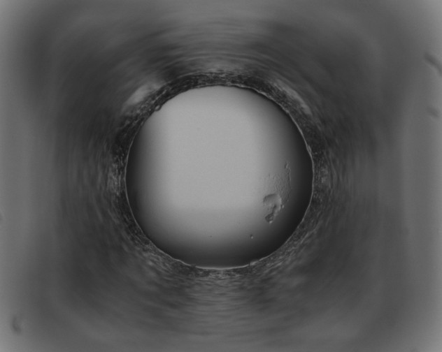 X0000093440869200710121331