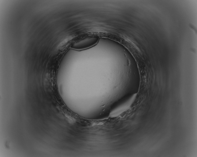 X0000093440870200710121331