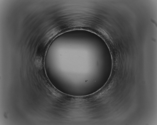 X0000093440873200710121331