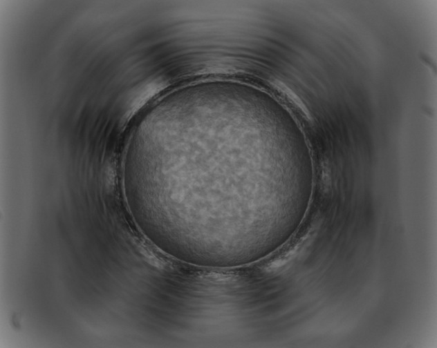 X0000093440874200710121331