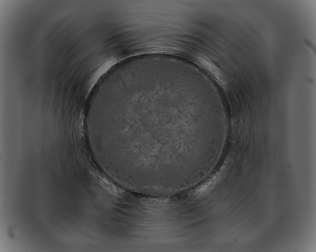X0000093440875200710121331