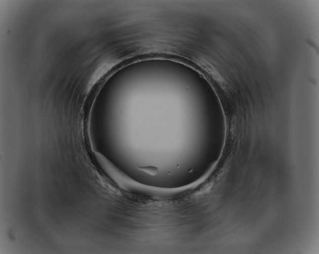 X0000093440877200710121331
