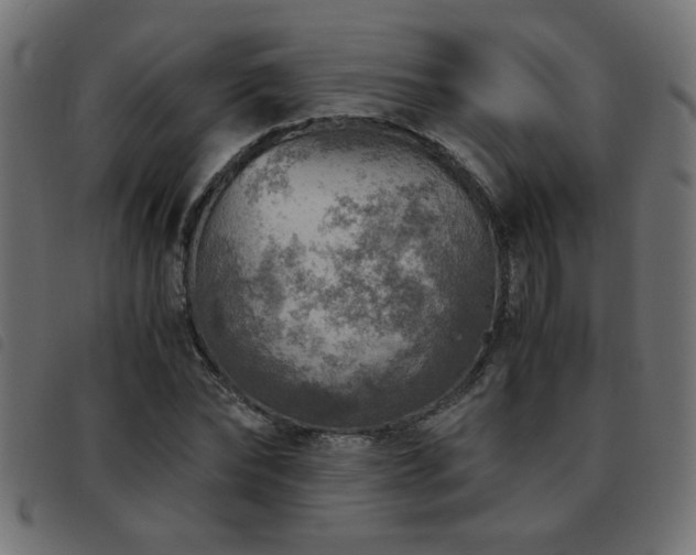 X0000093440878200710121331