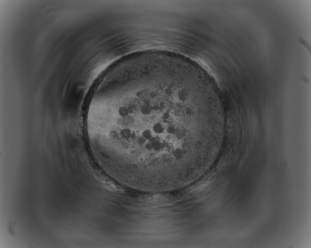 X0000093440879200710121331