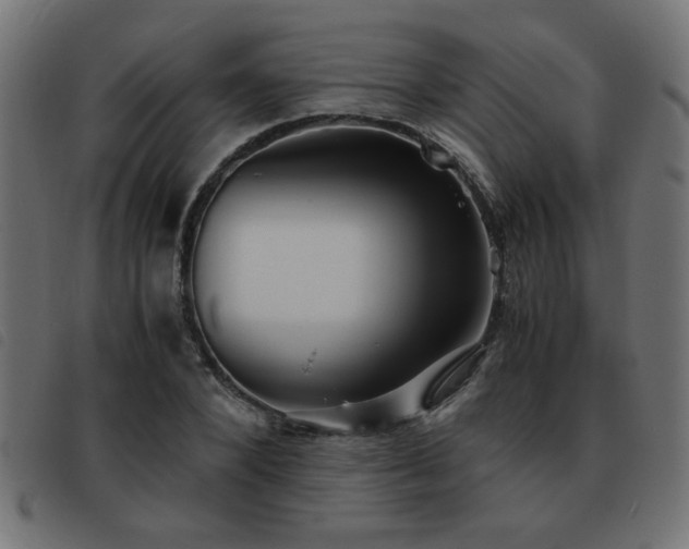 X0000093440880200710121331