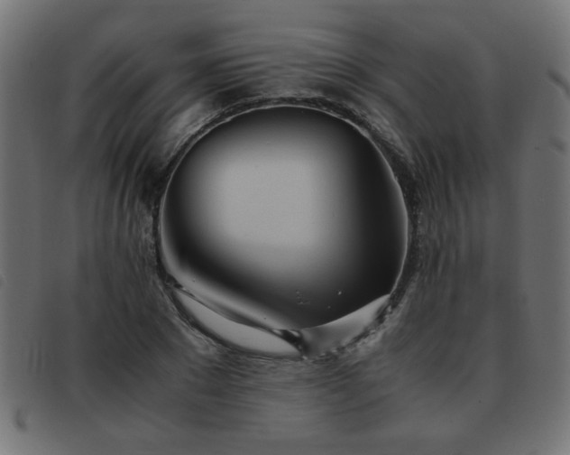 X0000093440881200710121331