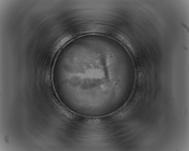 X0000093440882200710121331