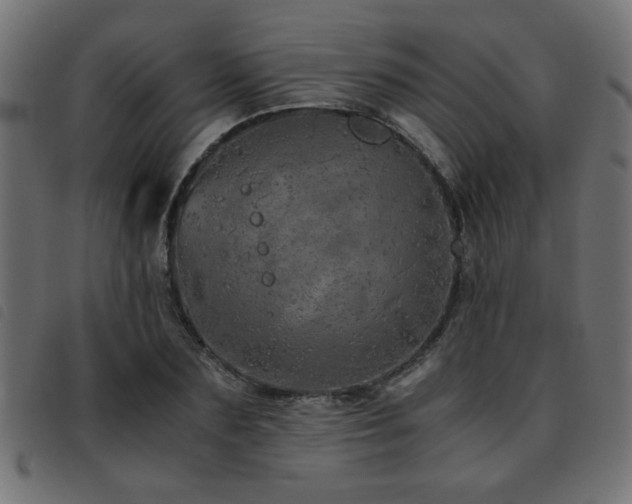 X0000093440883200710121331