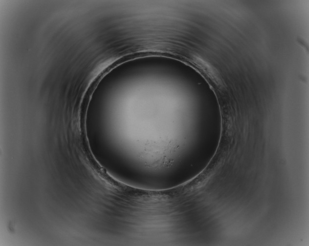 X0000093440884200710121331