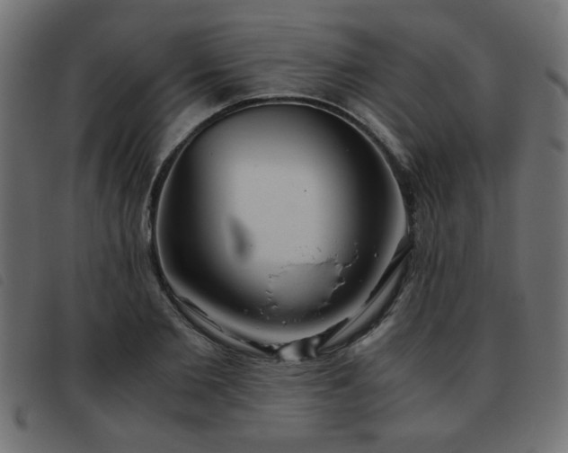 X0000093440885200710121331