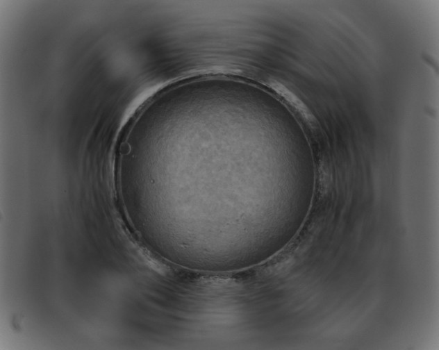 X0000093440886200710121331