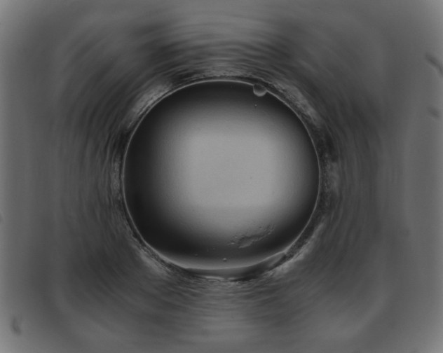 X0000093440889200710121331