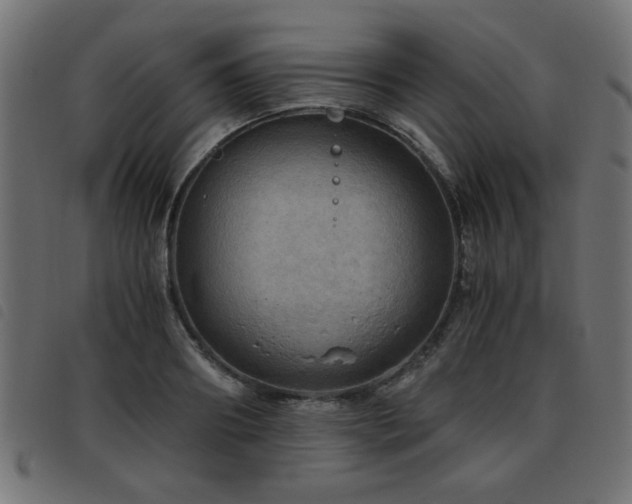 X0000093440890200710121331