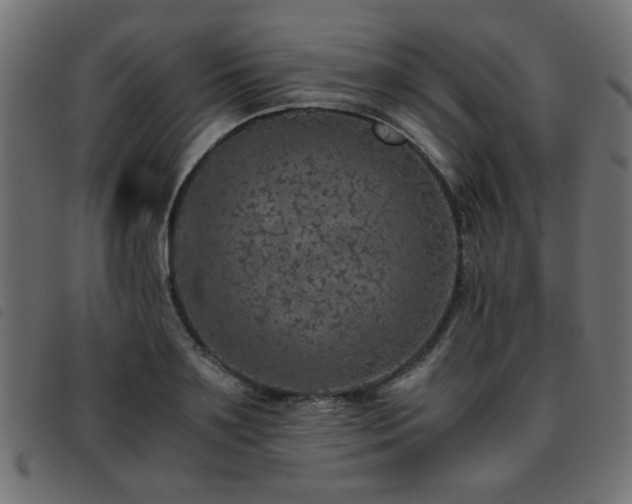 X0000093440891200710121331