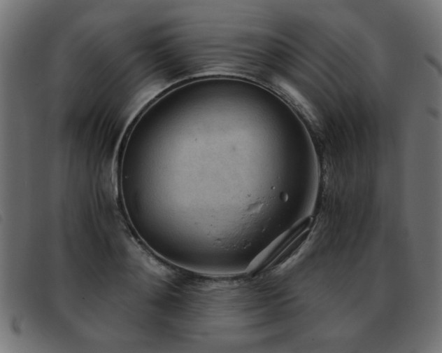 X0000093440892200710121330