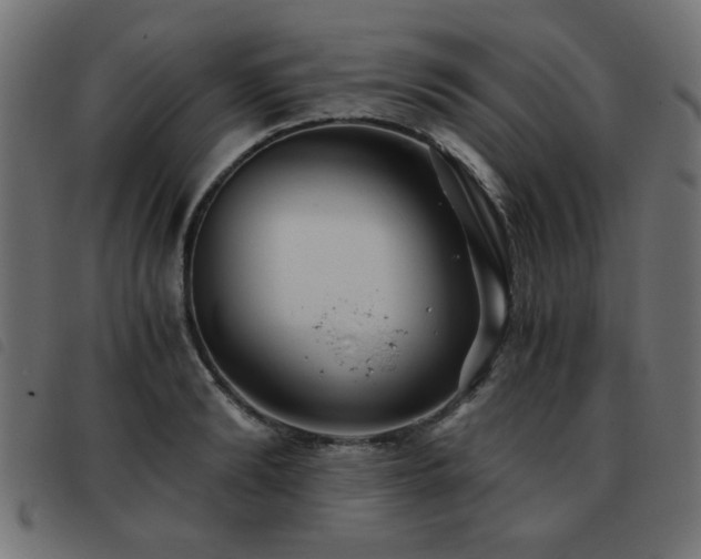 X0000093440894200710121330