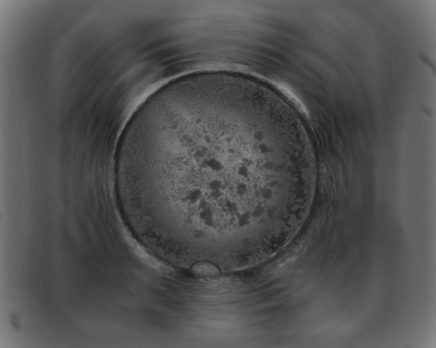 X0000093440895200710121330