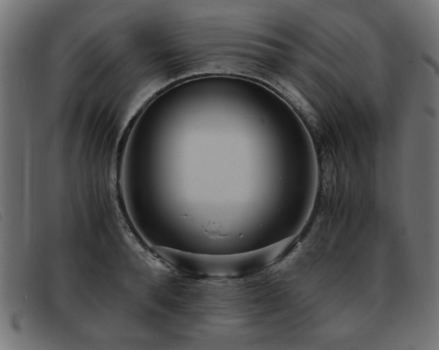 X0000093440896200710121330