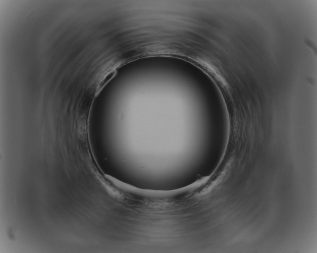 X0000093440897200710121330