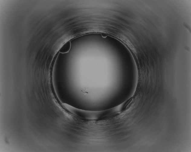 X0000093440898200710121330