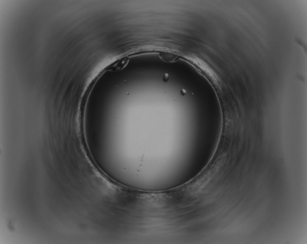 X0000093440902200710121330