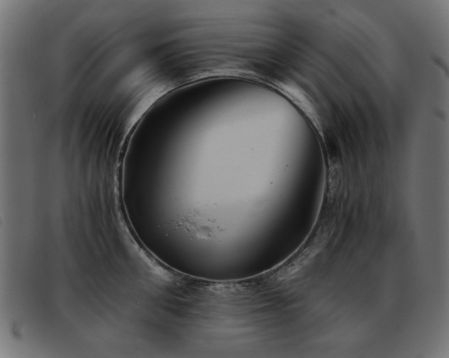 X0000093440906200710121330