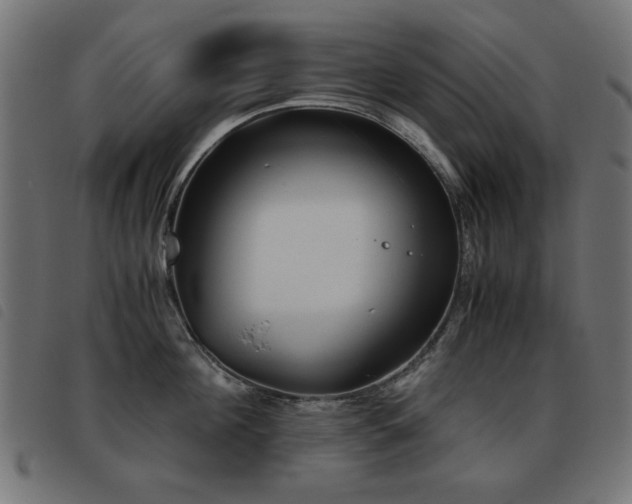 X0000093440908200710121330