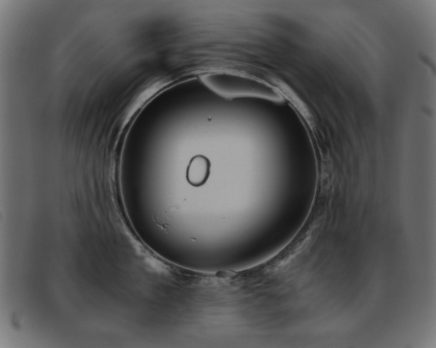 X0000093440909200710121330