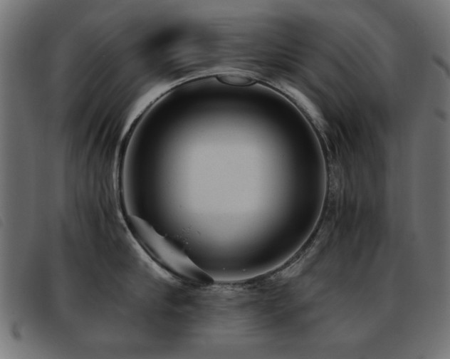 X0000093440910200710121330