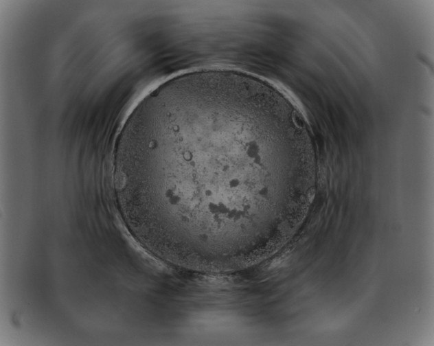 X0000093440911200710121330