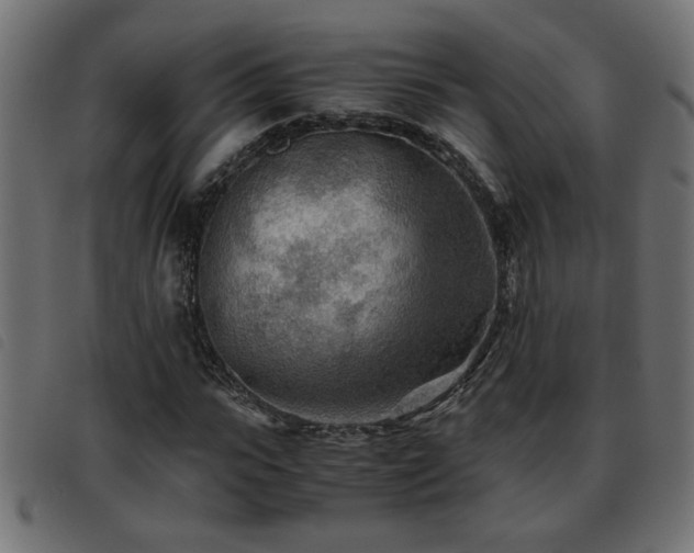 X0000093440919200710121330