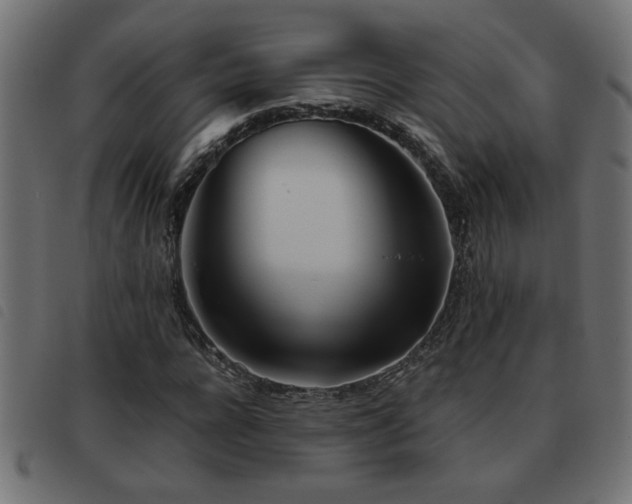 X0000093440920200710121330