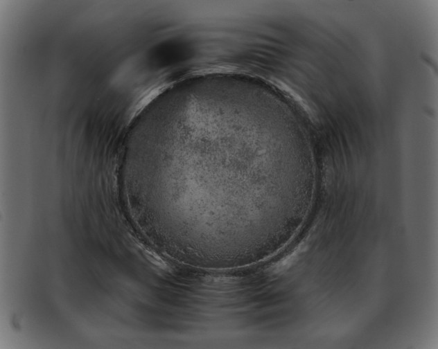 X0000093440921200710121330