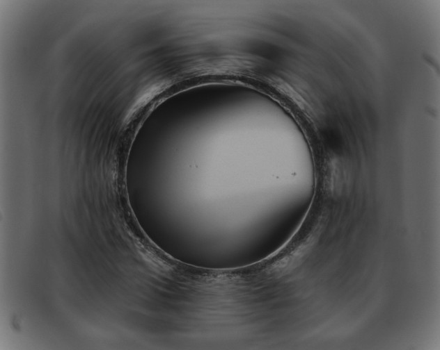 X0000093440922200710121330