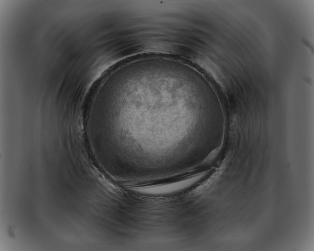 X0000093440923200710121330
