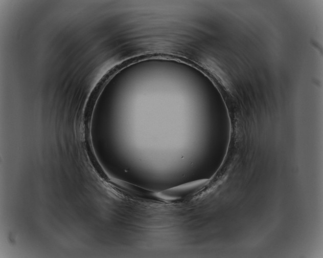 X0000093440924200710121330