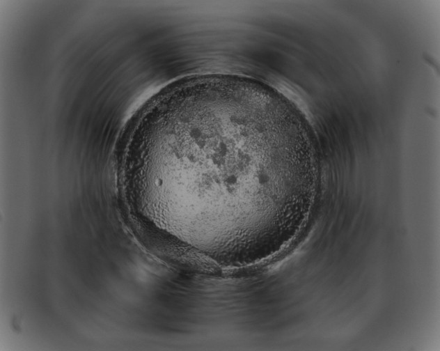 X0000093440925200710121330