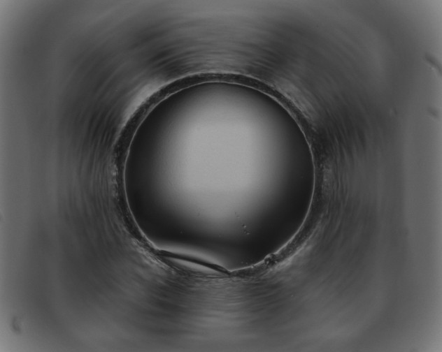 X0000093440926200710121330
