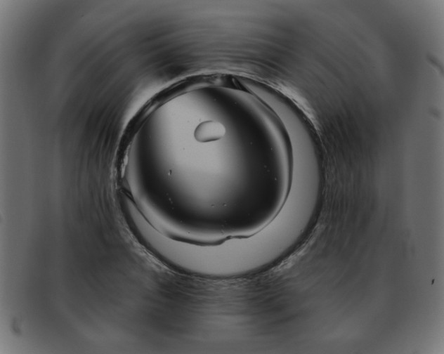 X0000093440928200710121330