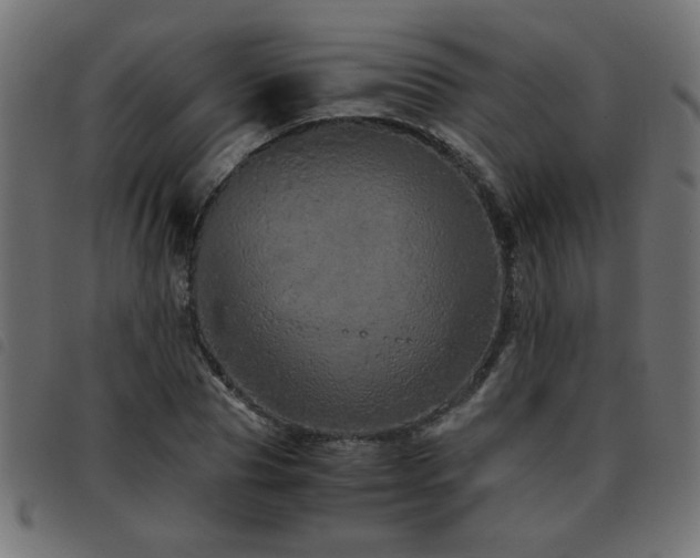 X0000093440929200710121330